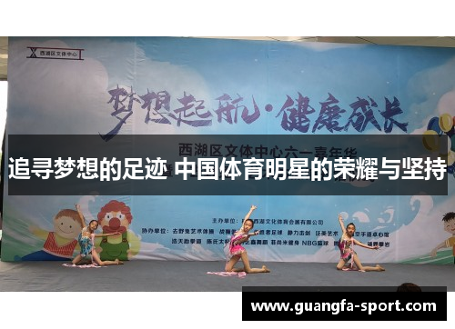 追寻梦想的足迹 中国体育明星的荣耀与坚持